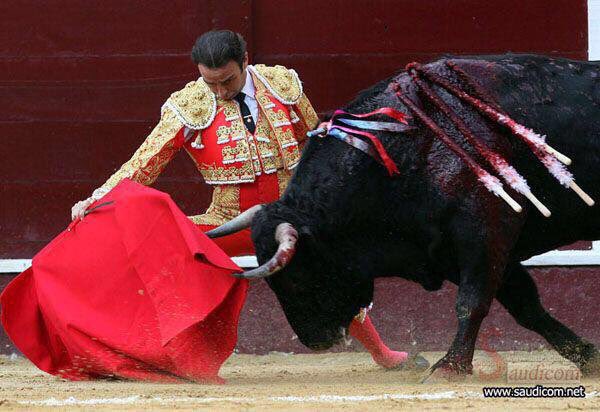 mnaw7's tweet image. مصارعة الثيران الإسبانية قتل من أجل المتعة
س:لو كان في دولة اسلامية؟
لصورها الاعلام الغربي كدليل على وحشية المسلمين!