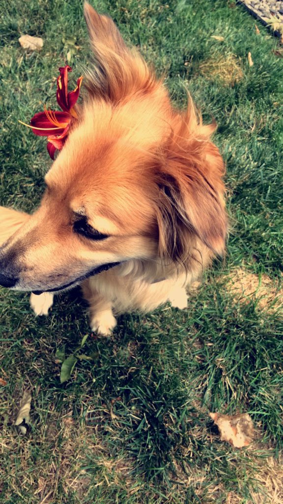 elisekisu's tweet photo. I think Stella's spirit-human is Blake Lively #definitionofperfect https://t.co/8D9ieLWvyD