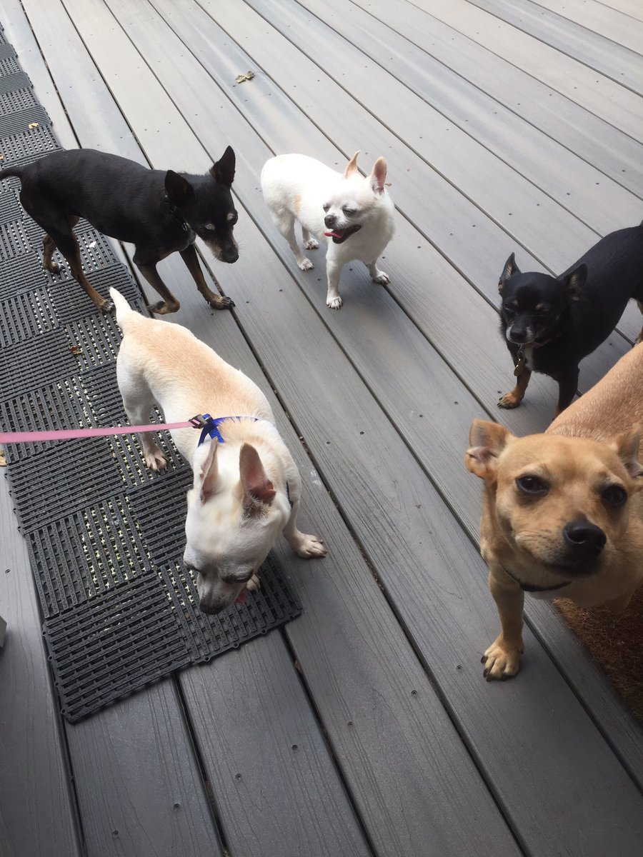 PICKMICK2016's tweet image. This is my crew. Where's yours? Post below