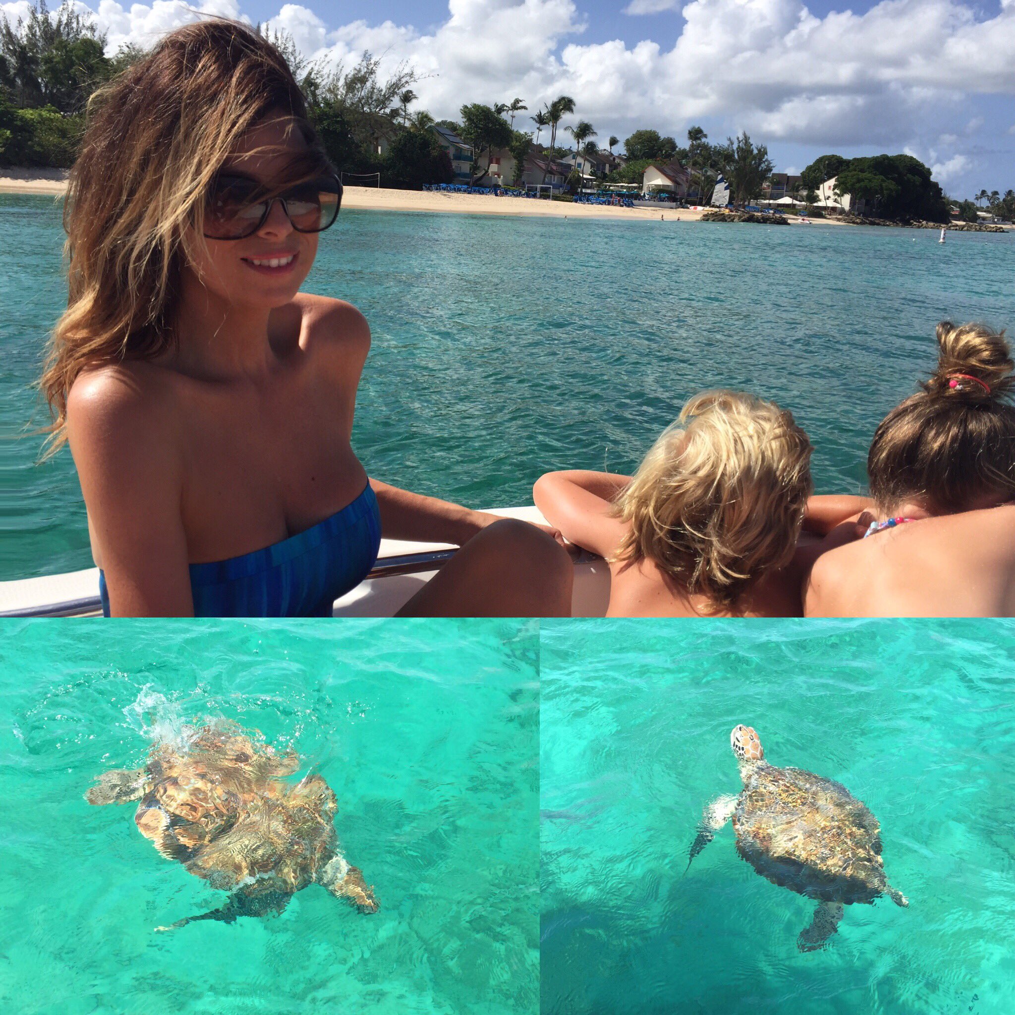 Sarra Elgan Easterby On Twitter We Had The Best Time Swimming With These Little Fellas 