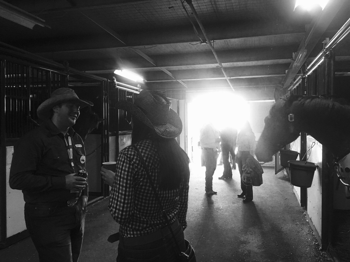 Dentons Stampede tweet media