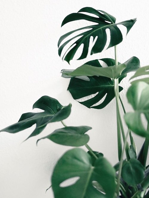 originality is hard to come by these days