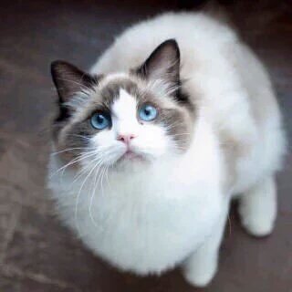 @GercinoPE_SP <a href="/enosms/">Enos Mendes</a> <a href="/enterateconjes/">Jes ♋</a> <a href="/inglesdiadema/">Teacher</a> <a href="/protestonoTT/">Tchau Temer</a> <a href="/EliTe_LegenDz/">EliteLegendz</a> <a href="/Jilliemary/">Jillian Peeling</a> <a href="/angelofugii/">Angelo Fugii</a>