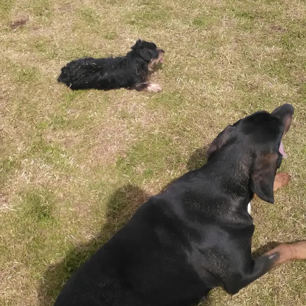 MurphysMagic8's tweet image. 