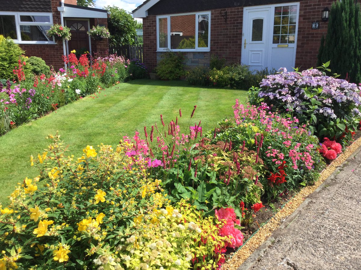 Our front garden this morning