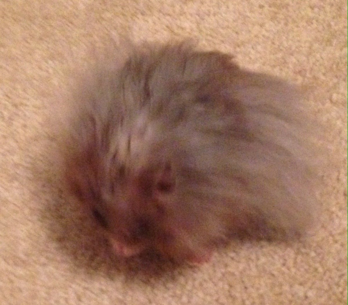 Just stretching my legs, it's nice to be out and about at my age. Hx