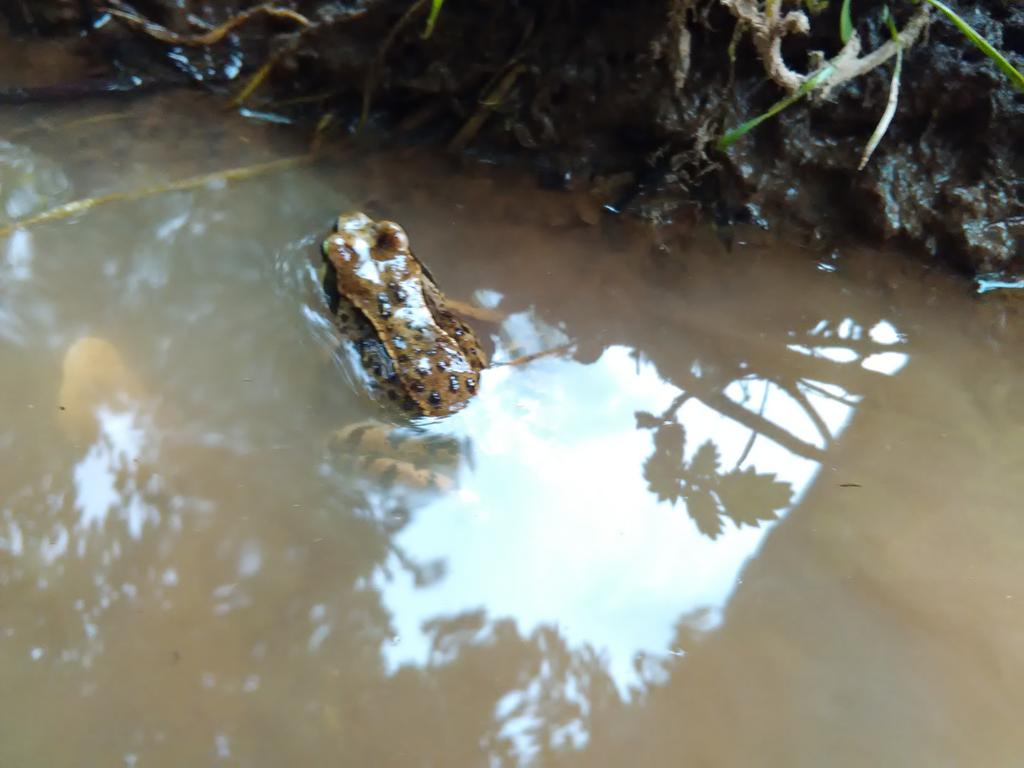 HTroler's tweet image. 