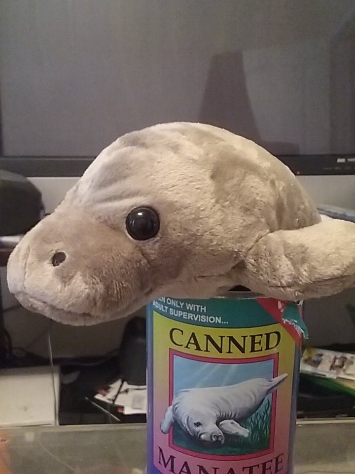 MustPlayMike's tweet photo. Thank you, @Canned_Critters for the adorable Canned Manatee! I will treasure it always! https://t.co/Zfa7PoePbW