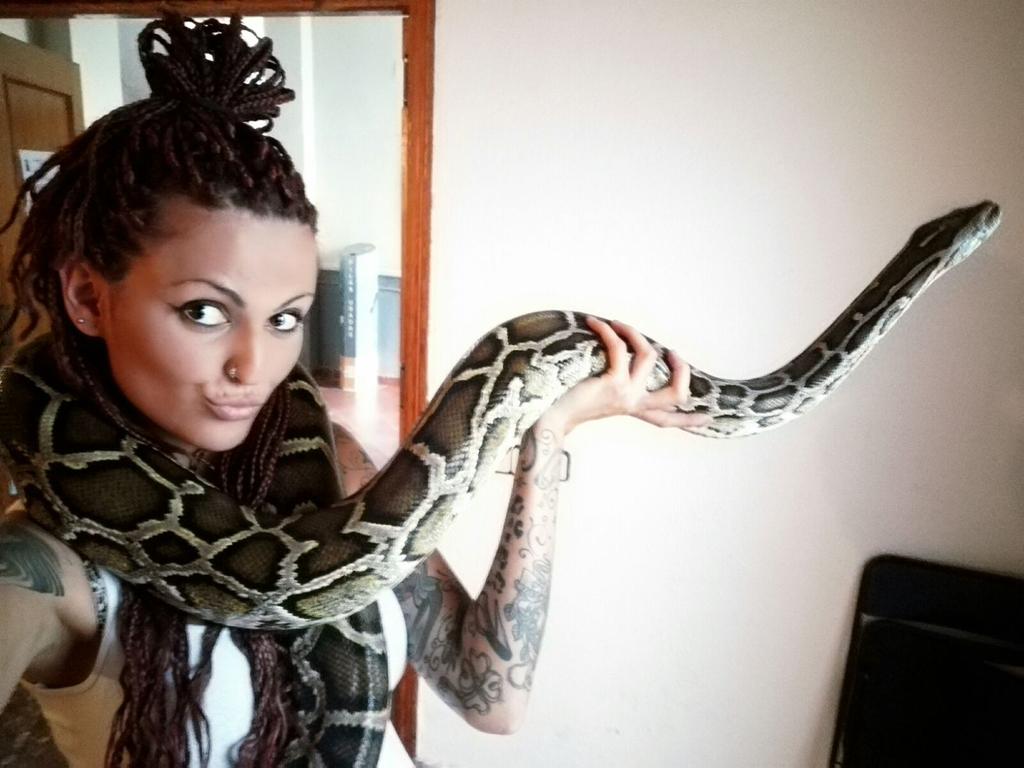 Robot_Group's tweet image. Contratación de serpiente