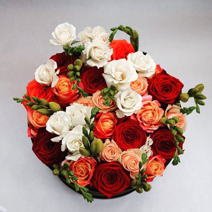 Lk Verdant On Twitter Goodnight With Compliments Mrs Lk Lkv