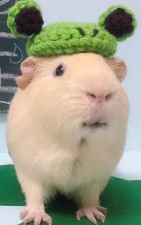 Reggie_NOA's tweet photo. @highwaystarlet wrong answer
you know who the fuck it is https://t.co/xRIoE3ZV6K