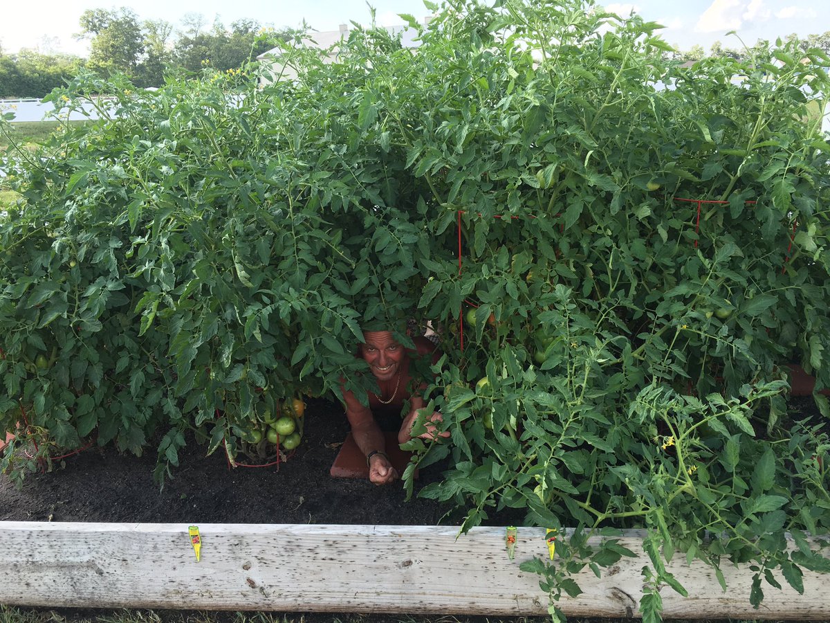 Edamami 🍣 tweet media