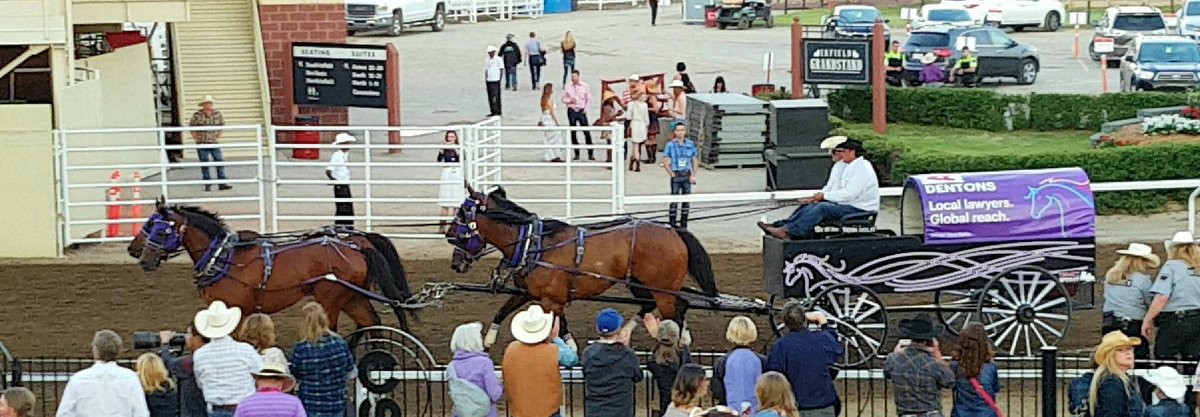 Dentons Stampede tweet media