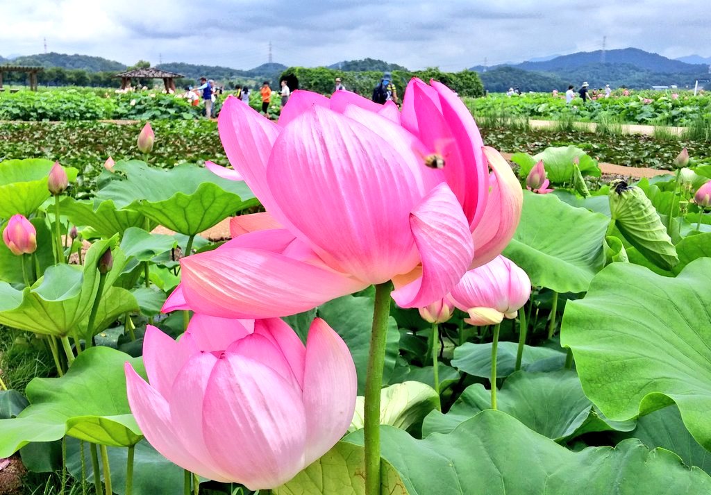 우리 사랑 영원히~♥