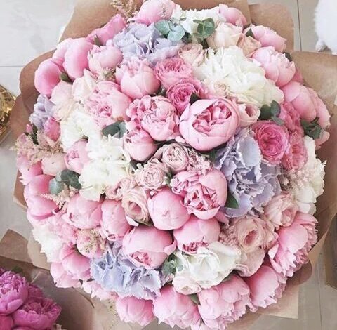 Nmjaxz's tweet photo. @vouzrl_ Pagi sayang :* maaf smlm gua kecapekan kaga jadi nemenin, i love you jenong ❤ https://t.co/kiEWNpsYPe