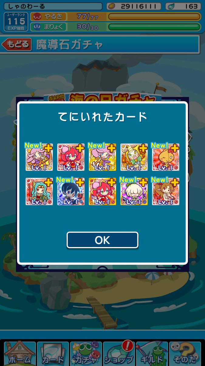 黒いシグ 黒いシグ
