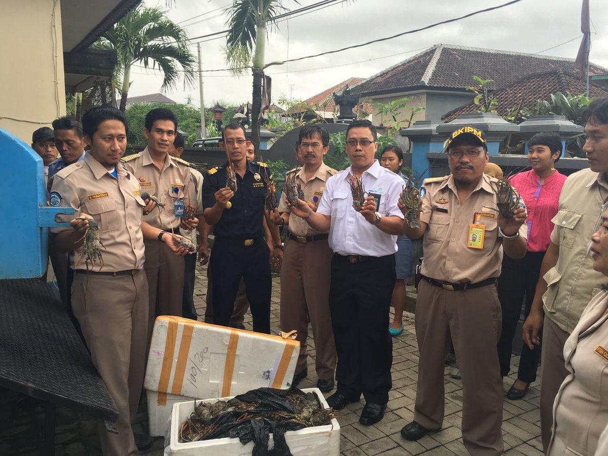 BKIPM_DENPASAR's tweet photo. @HumasBkipm @rinajanwar2201 Pemusnahan MP tindak lanjut pelanggaran karantina dg instansi lain terkait di Bali https://t.co/pkLBf09Rpj