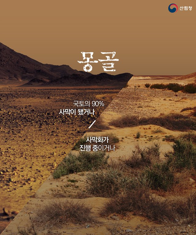 대한민국 산림청 tweet media
