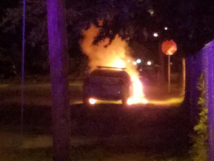 Daytona Beach police car torched by Molotov cocktail