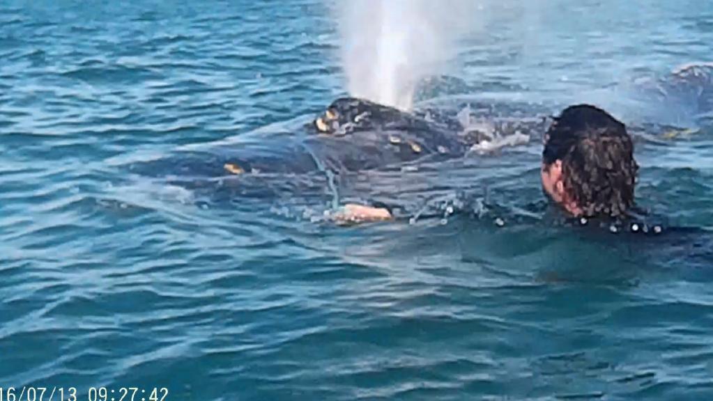 LiveaboardsIndo's tweet image. Whale asks for help
adelaidenow.com.au/technology/sci…
#whale #scuba #savethewhales #ocean #sea #adventure #love