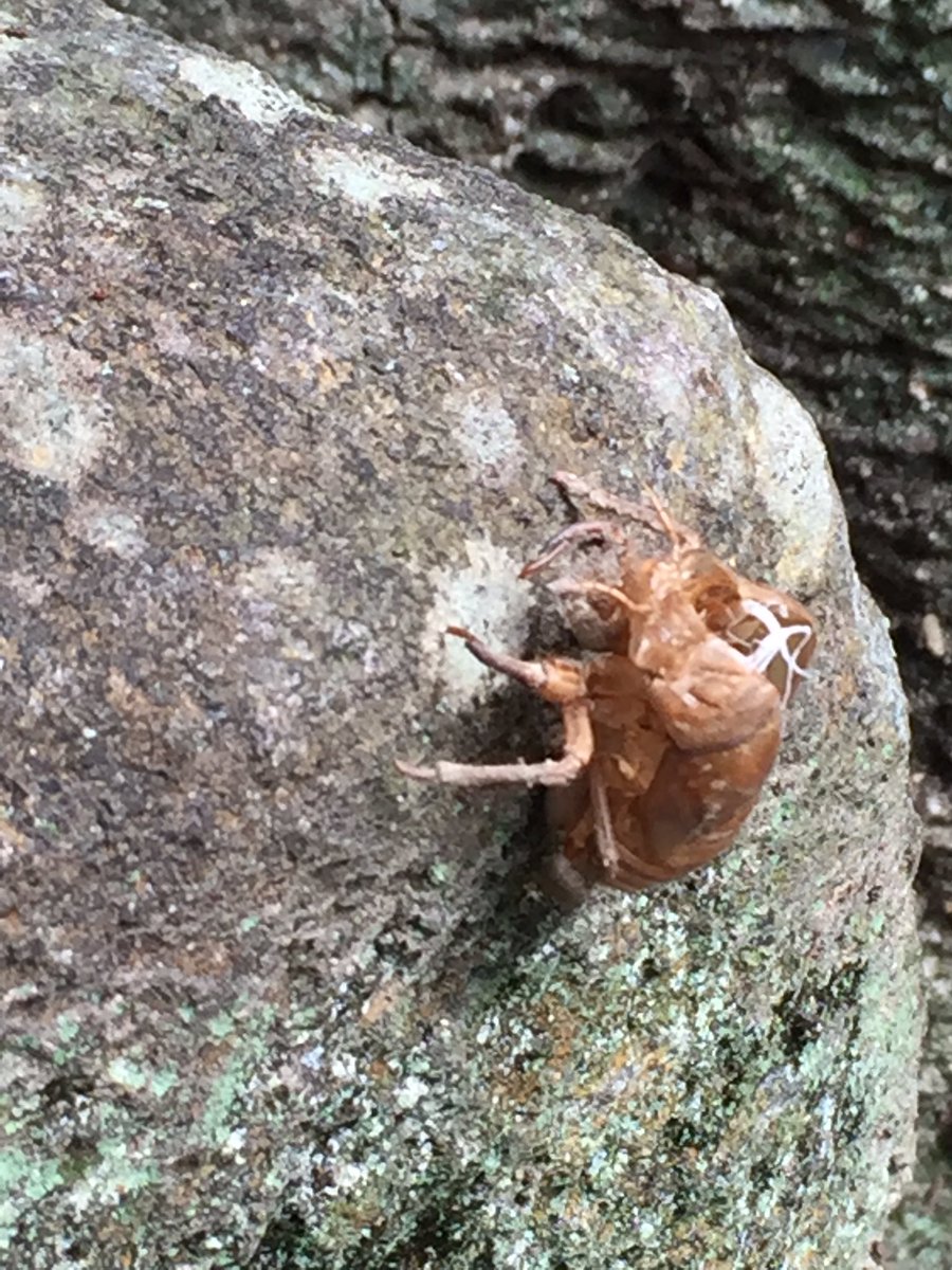 毛穴開きっぱなし