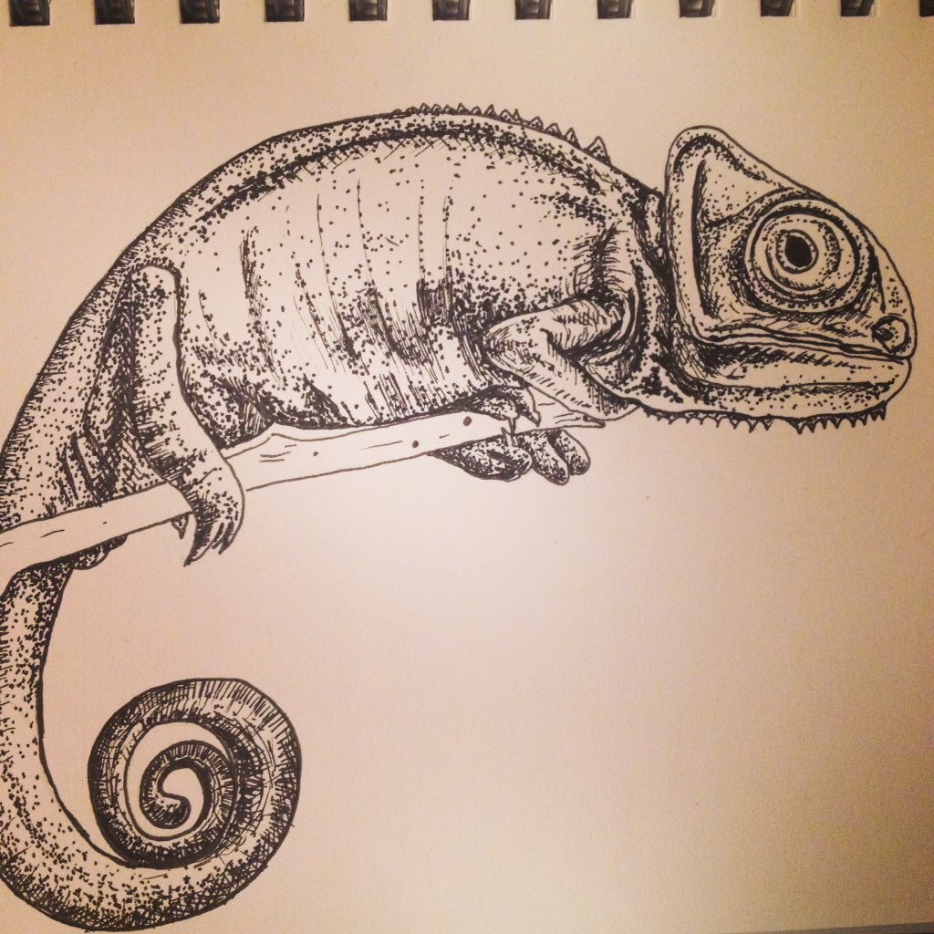 Evening movie 📽 &amp; a #sketch . #star wars #illustration #art #draw #ink #Chameleon #wip @EtsyCA