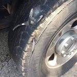 車を運転中に何かを轢いたと思って見たら、飛んでもないものを轢いていた!