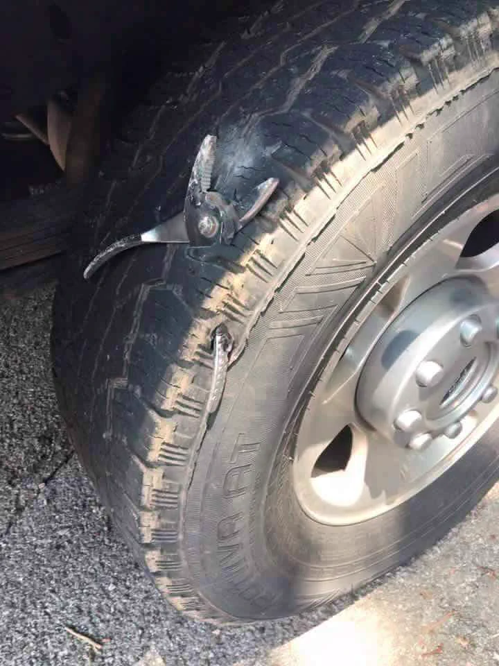 車を運転中に何かを轢いたと思って見たら、飛んでもないものを轢いていたwww