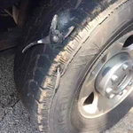 車を運転中に何かを轢いたと思って見たら、飛んでもないものを轢いていた!