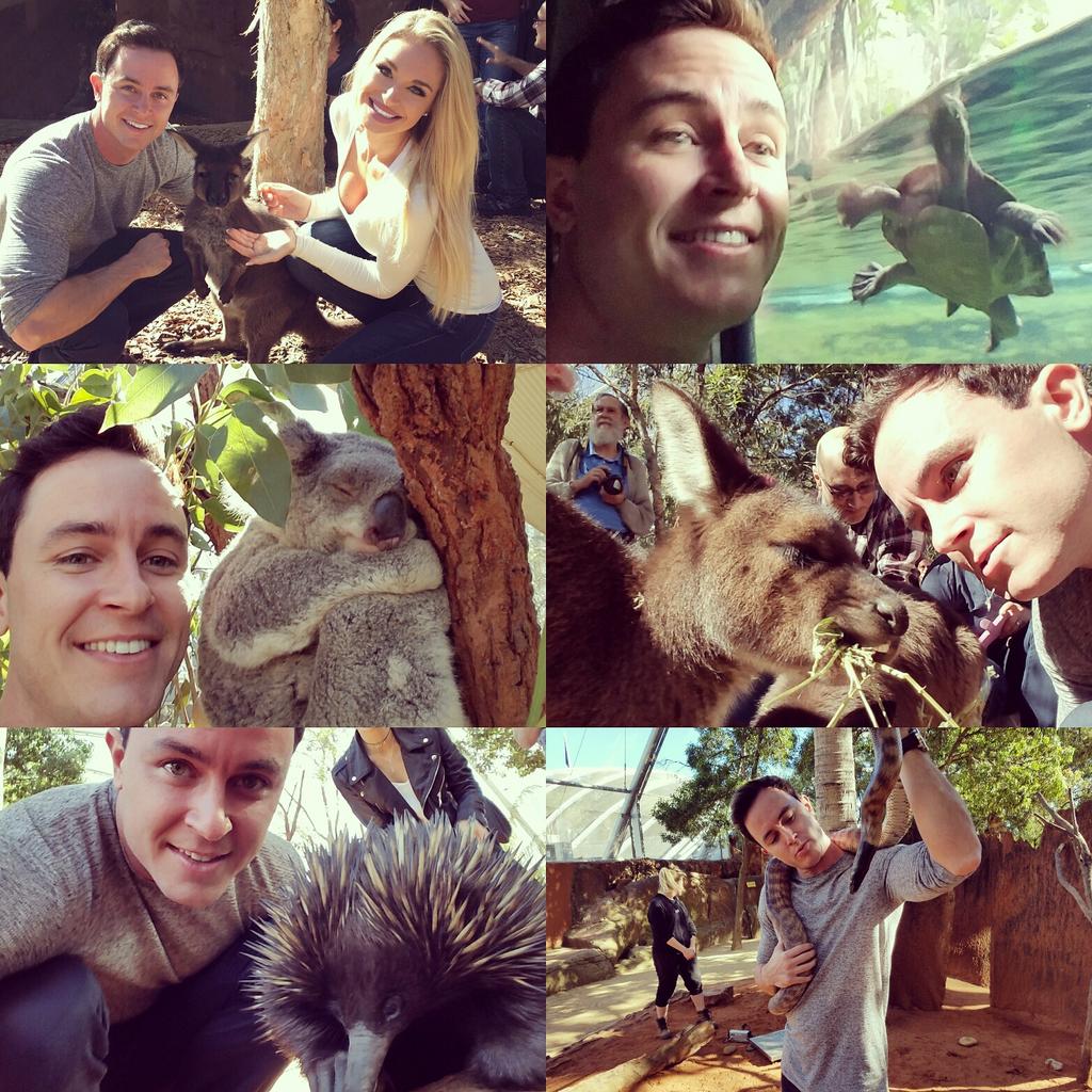 ryan kelley tweet media