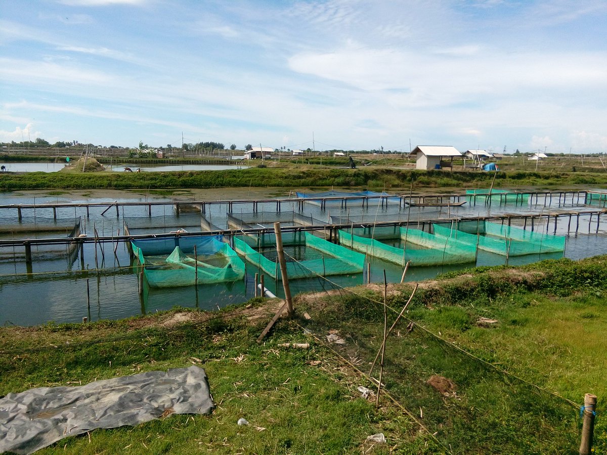 Bertamu ke wilayah kerja penyuluh lain di kabupaten bireuen sharing ilmu
<a href="/kkpgoid/">KKP RI</a> @pusluhdayakp @PPBPUSLUHDAYAKP