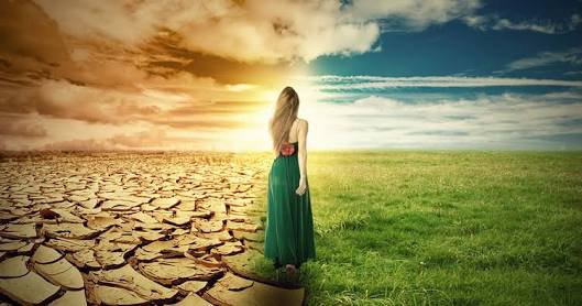 PerthDevSites's tweet image. Change your thoughts and your life will change for the better 

bit.ly/2a0eKMB