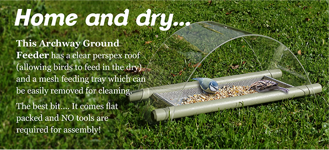 ReallyWildBird's tweet photo. Archway #groundfeeder has a clear perspex arched roof which allows ground feeding #birds. https://t.co/73oo84TSww!! https://t.co/eXaTqtjldd