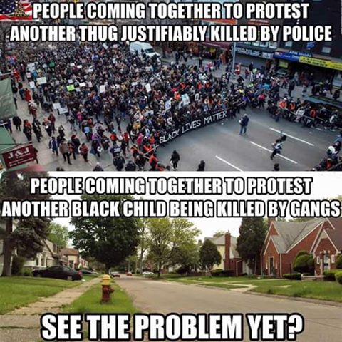 MrsBeigeShiba's tweet image. #alllivesshouldmatter #BlackLivesMatter #Crime #AllLivesMatter