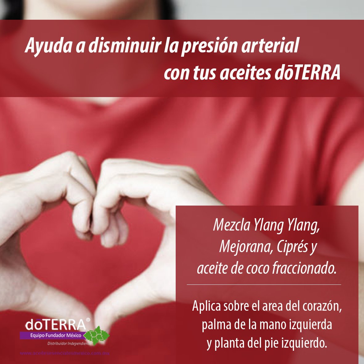 Mejorana aceite esencial presión arterial