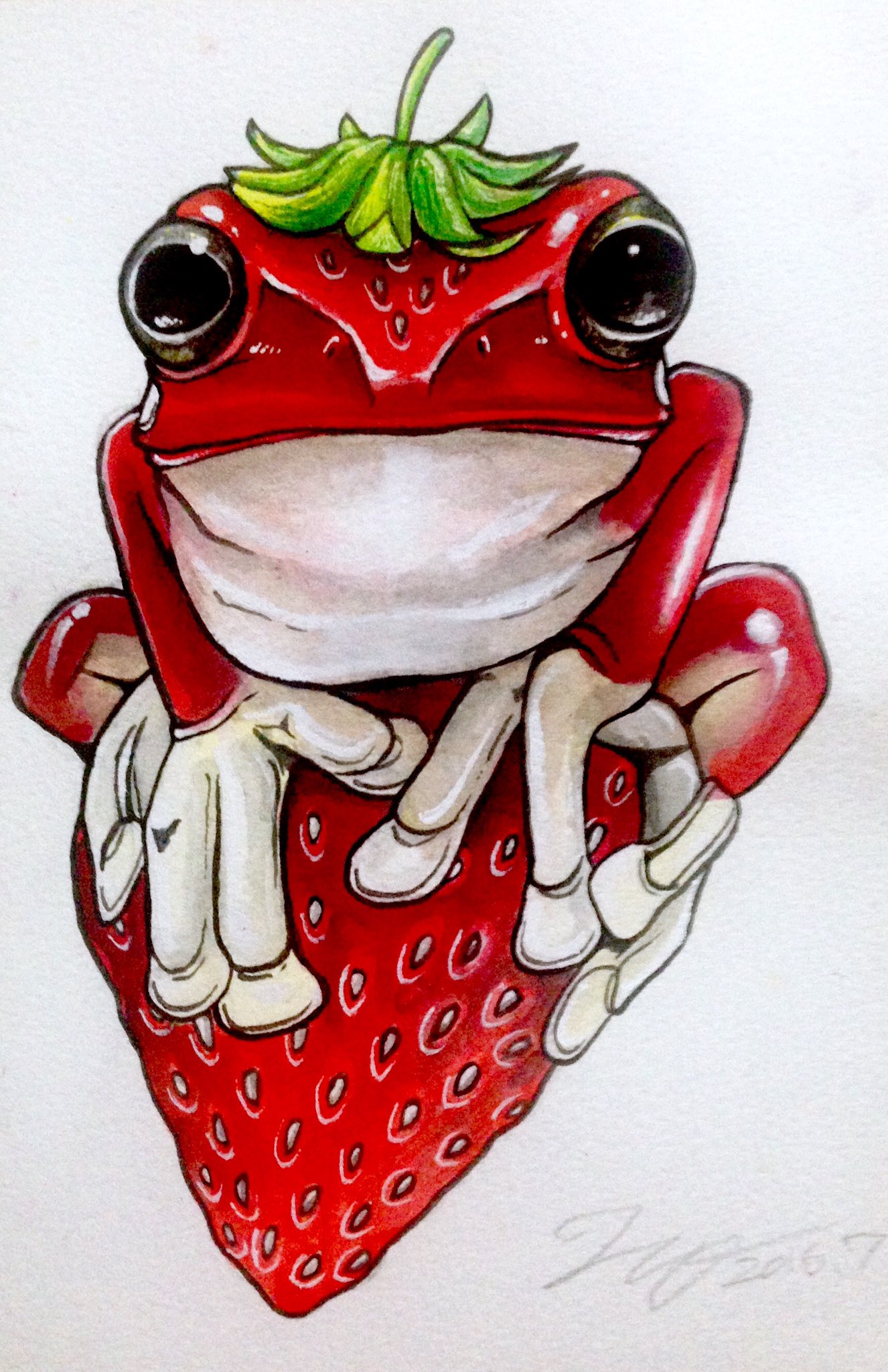 ヒキタ レオ 引田 玲雄 カエルメイト より 苺乗りイチゴガエル イチゴにそっくりな カエル イチゴガエルが苺に乗ったイラスト 案はあったんですが やっと形に出来ました イラスト拡散 イラスト基地 イラスト王国 絵描きぽむ T