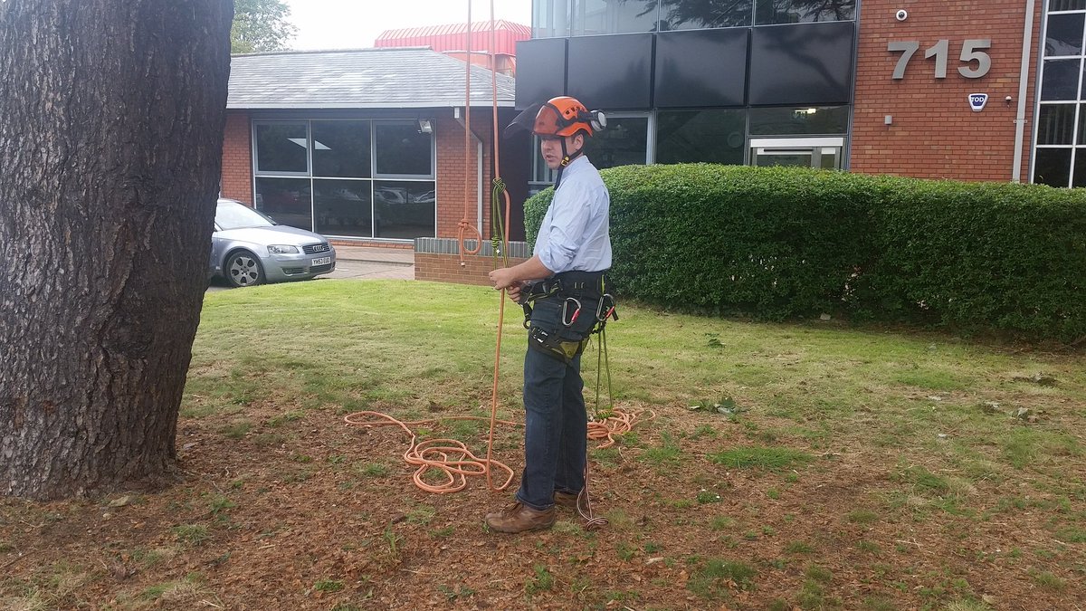 sihiline's tweet photo. Climbing inspection within the crown of a #cedar. My colleague Tim is the best dressed climber out there #shirt #tie https://t.co/miKWV5MfPQ