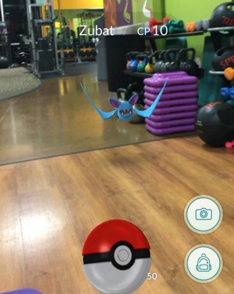 AFPointCook's tweet photo. Even Zubat is hitting the gym!!
#PokemonGO
#AnytimeFitnessPointCook https://t.co/viVeJwljVk