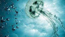 dev3developers's tweet image. Model: Other, Price: 156,456, Year: 2015, Kms Driven: 162456, Color: black