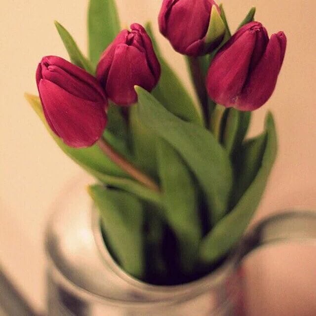 fff889988's tweet photo. @ahmeed___1997 https://t.co/3yY9oQgTTt