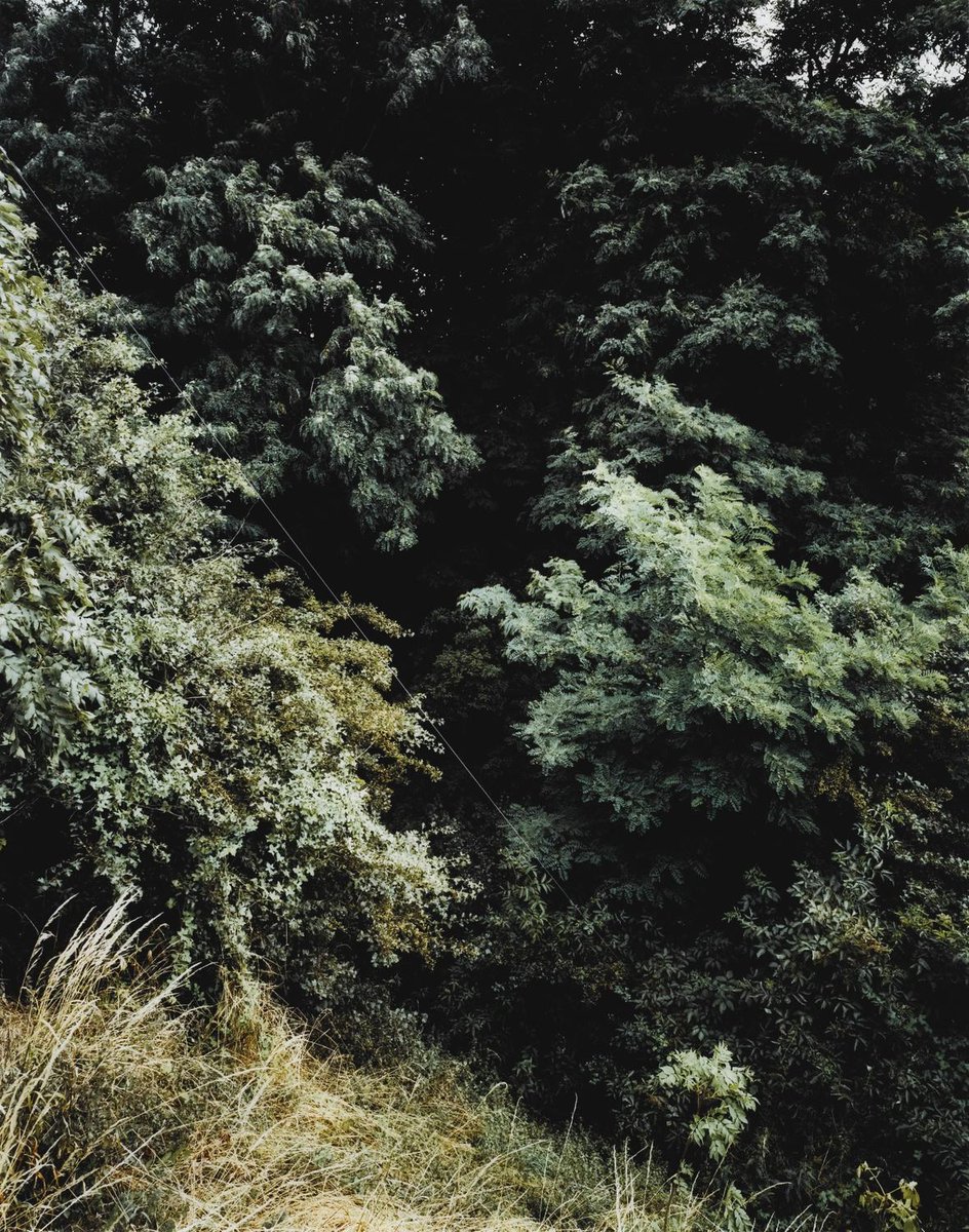 KREFELD, 48×58in, Sold for $29,270 USD #andreasgursky auctionclub.com/public/histori…