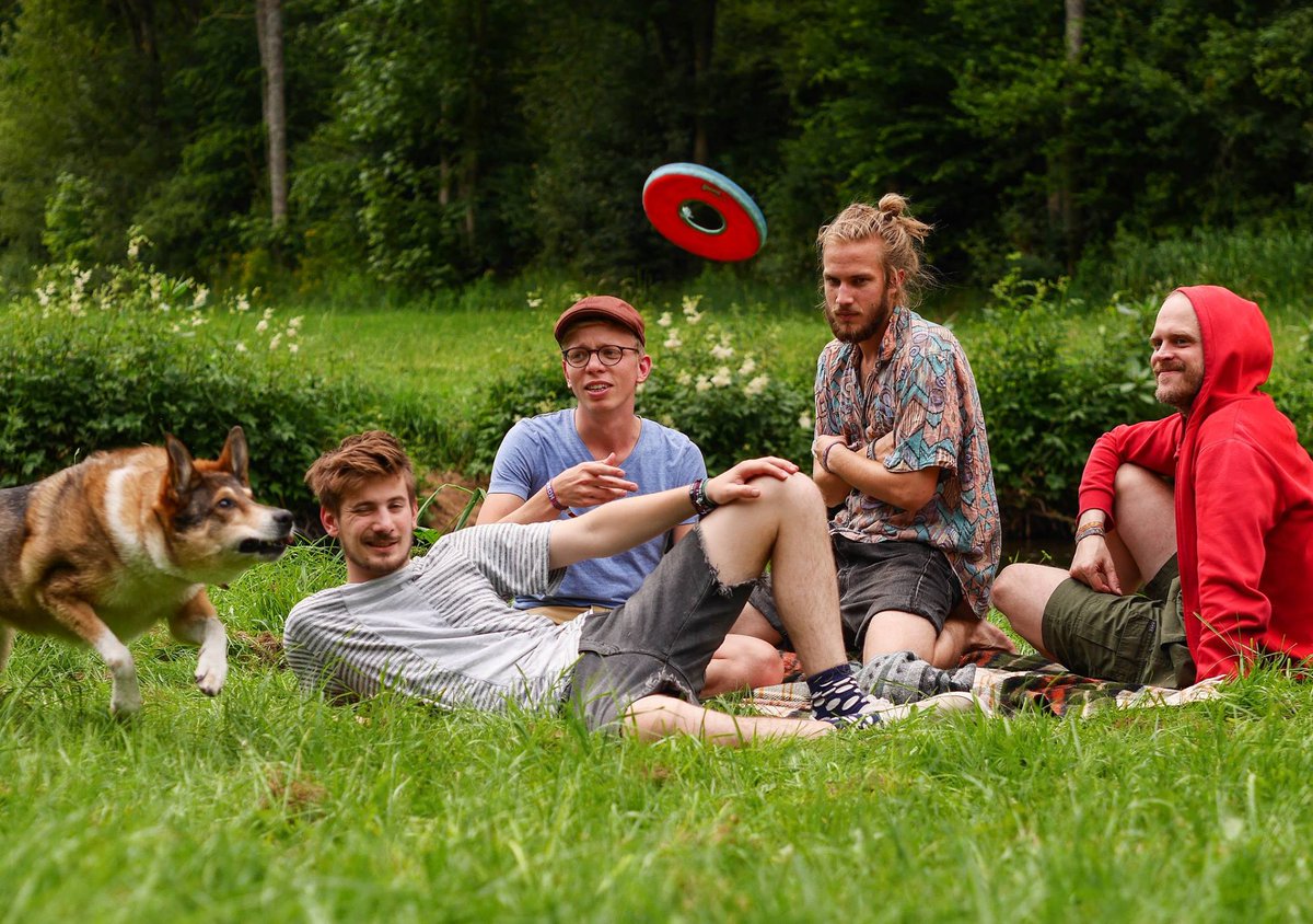 seed_to_tree's tweet image. #Songwriting days and #DogDay with #SeedtoTree