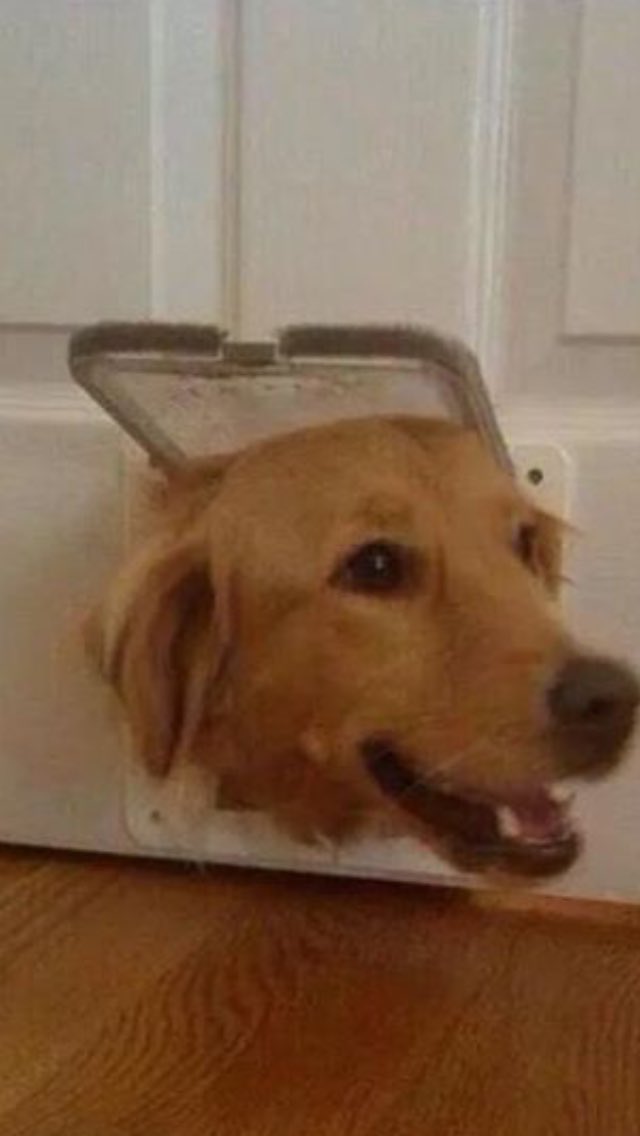 Neilworley1's tweet photo. Me looking at Monday like this coz am off work all week 👍😏
#hellomonday #offallweek 🌞🌞 https://t.co/wS4suC1yAL