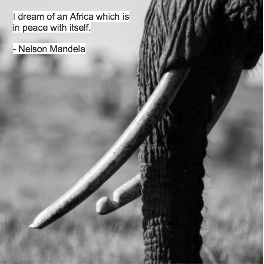 Imagine a world where animals and humans live together in peace. Happy 98th Birthday #NelsonMandela #MandelaDay