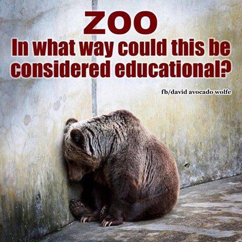 The Only Education this Offers is that These Places Strip the Animals Of Every Instinct They Were Ever Born With !!!