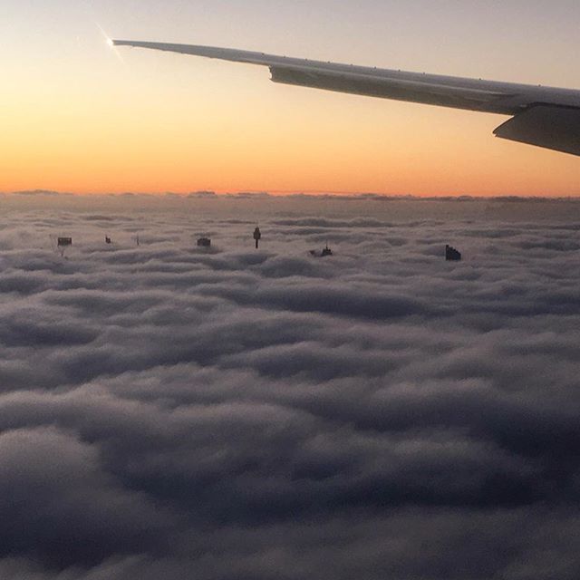 Australia's tweet image. MISSING: The city of #Sydney, last seen shrouded in a thick blanket of fog (taken this morning, via IG/samanthainoz)