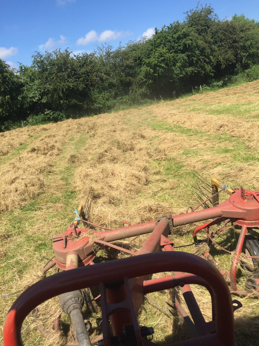 LDSayers's tweet image. Finally have some good weather to make hay. 1500 small bails made just 12 acres left to bail.