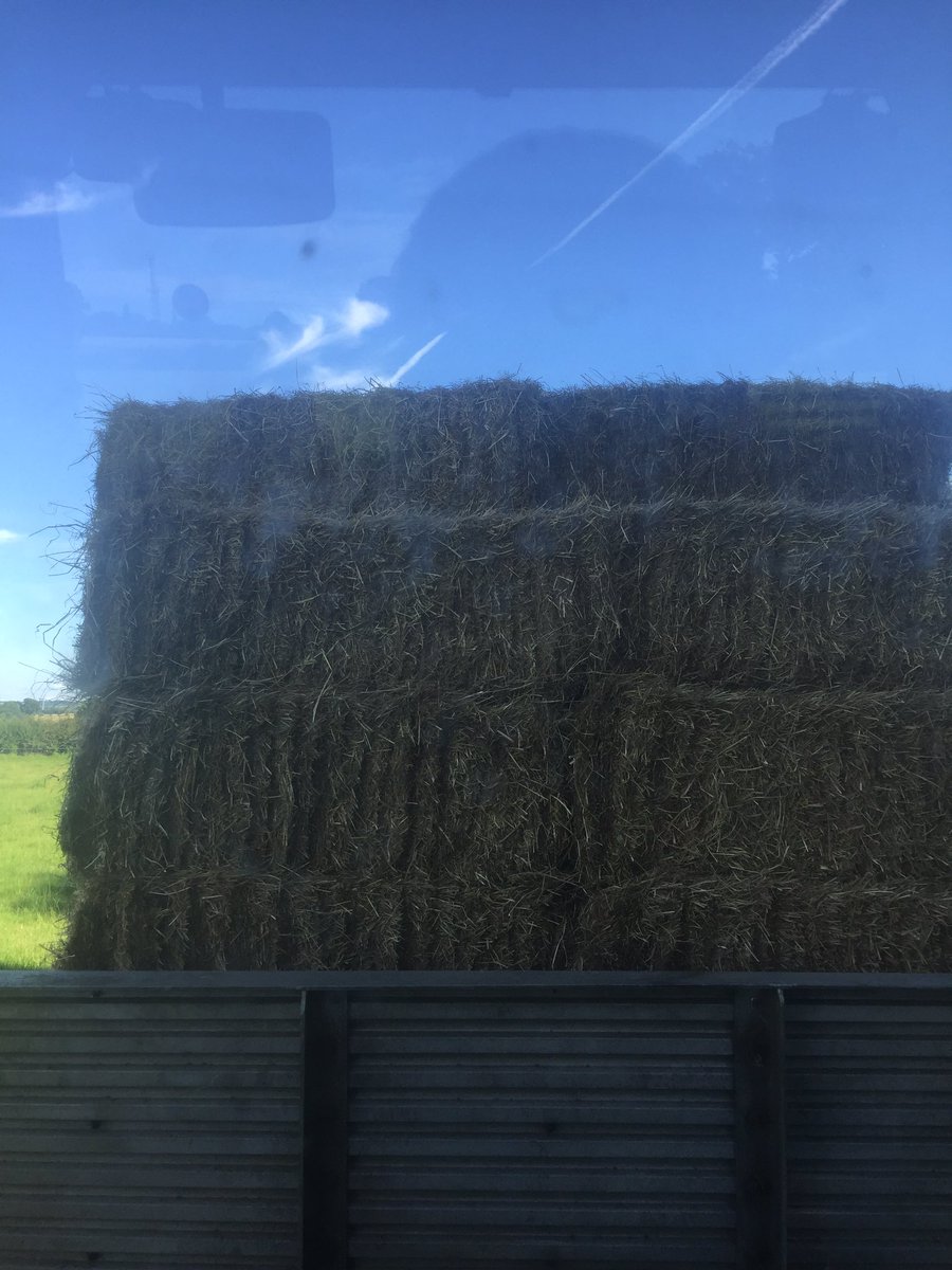 LDSayers's tweet image. Finally have some good weather to make hay. 1500 small bails made just 12 acres left to bail.
