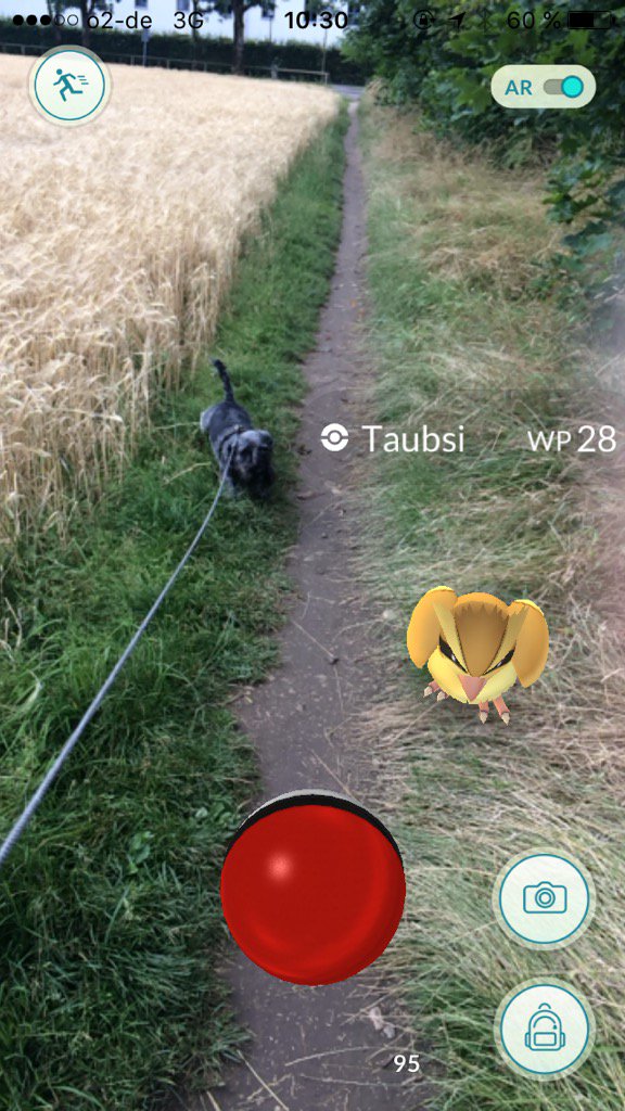 PokeGustav's tweet photo. Please not again a #Pidgey for #PokeGustav! #PokemonGO #gottacatchemall #Munich https://t.co/7jiVmIrbv1
