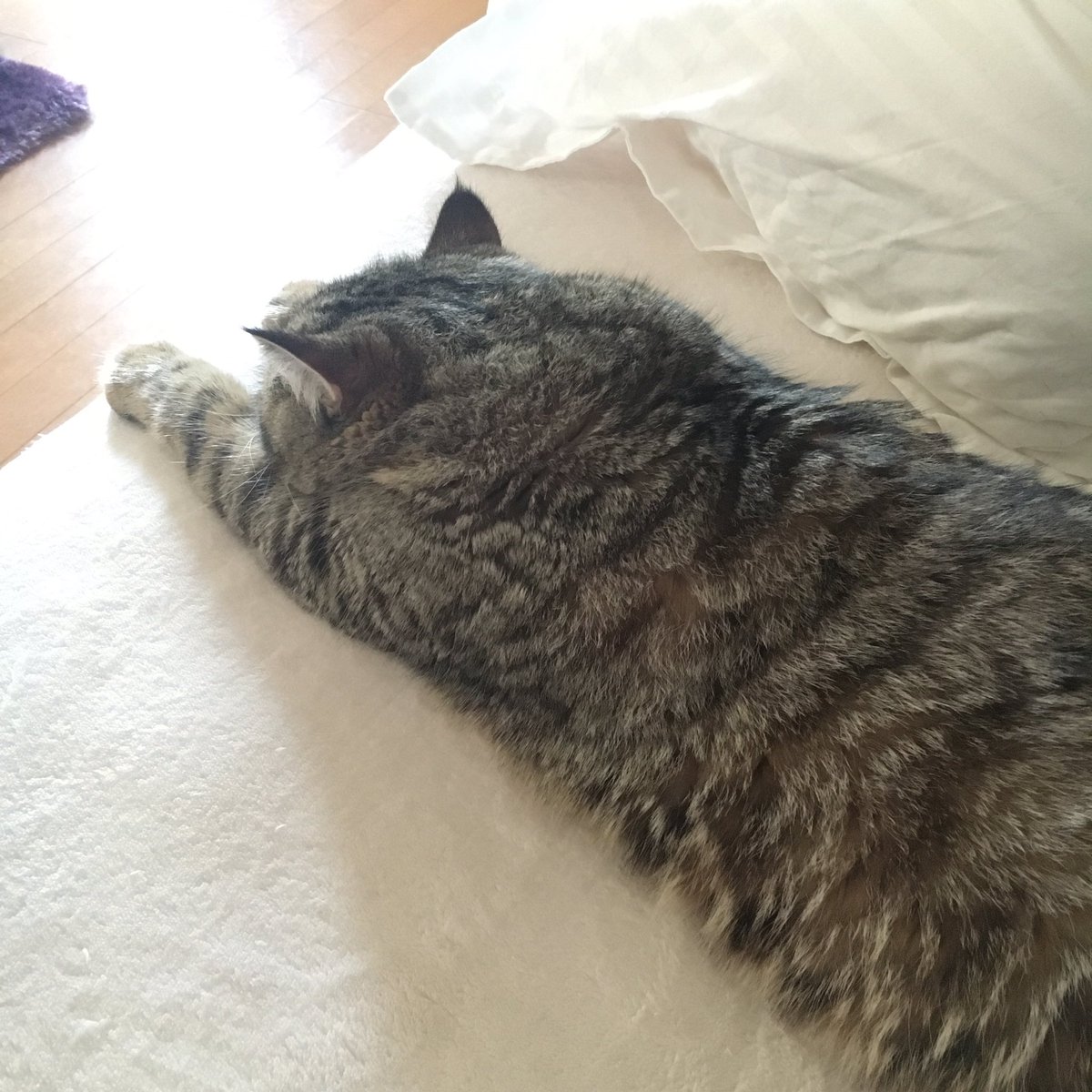 kotoha_b's tweet image. 最近の記事まとめてRTしました( ¨̮ )
#techjo #iPhone女史 #insta360 #Kickstarter #mogees #dholic #iPhoneケース #youtube #3D動画 #楽器